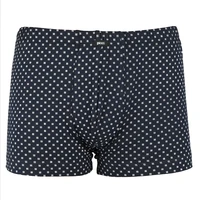 Pánský slip s nohavičkou 1