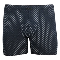 Pánský slip s nohavičkou 1