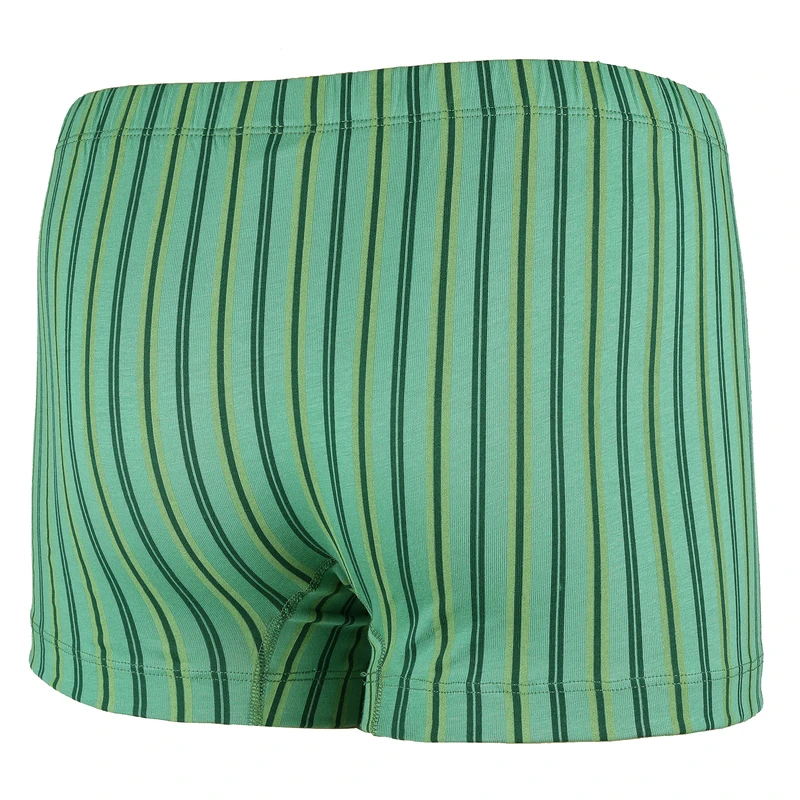 Pánský slip s nohavičkou 2