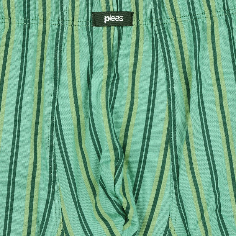 Pánský slip s nohavičkou 3