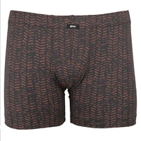 Pánský slip s nohavičkou 1