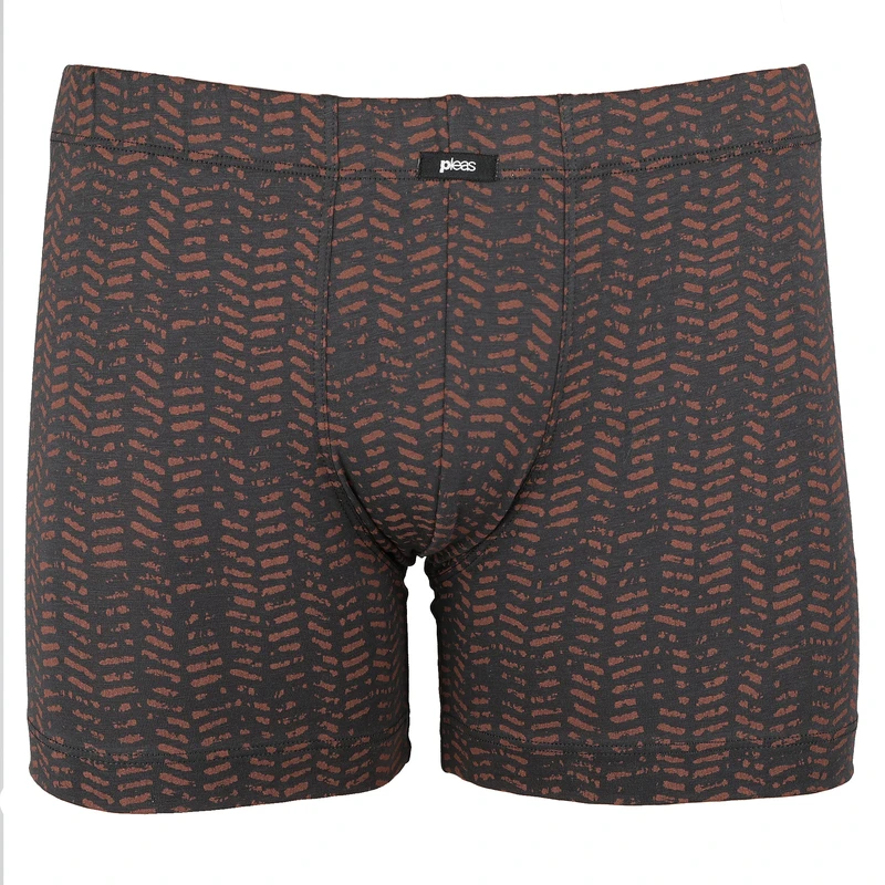 Pánský slip s nohavičkou 1