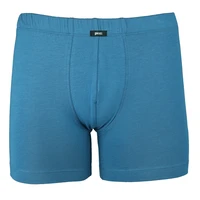 Pánský slip s nohavičkou 1