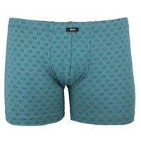 Pánský slip s prodlouženou nohavičkou 1