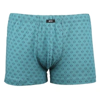 Pánský slip s nohavičkou 1