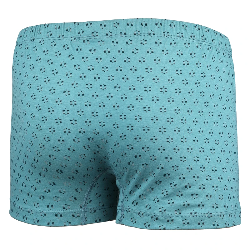 Pánský slip s nohavičkou 2