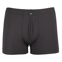 Pánský slip s nohavičkou 1