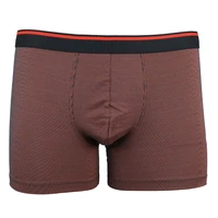 Pánský slip s nohavičkou 1