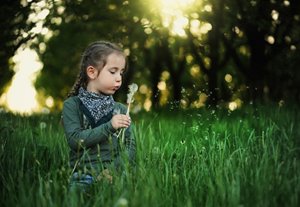 nature.jpg nature.jpg